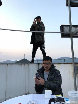 赵魏
