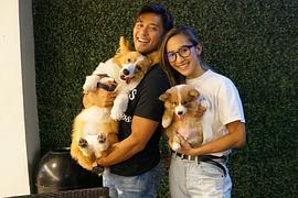罗科·纳西门托