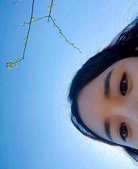 高甫洁