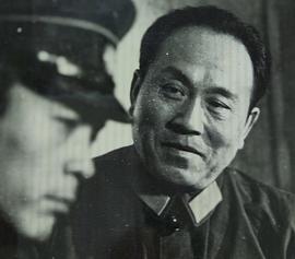 金奇