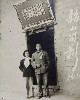 金奇