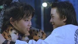 何灵灵