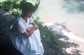 南野阳子