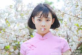 鲁照华