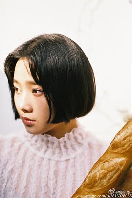 鲁照华