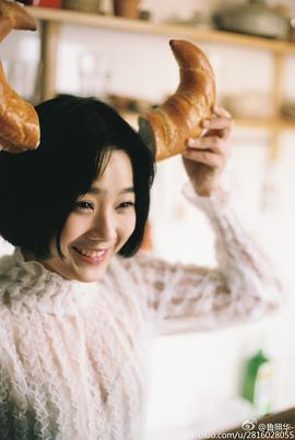 鲁照华