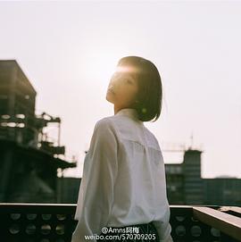 鲁照华