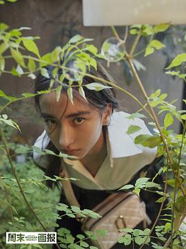 李宛妲