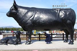 大园桃子