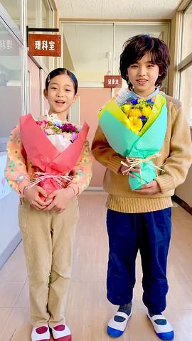 柴崎枫雅