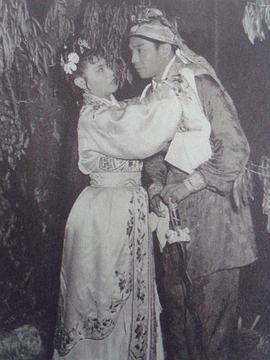 吴楚帆