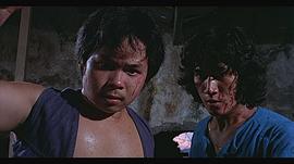 洪新南