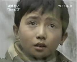 刘耕
