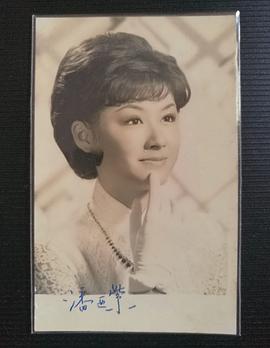潘迎紫