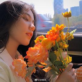 徐樱洛