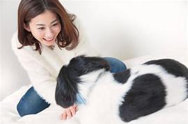 鲤迫千帆