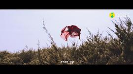 周二珂