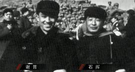 谢晋