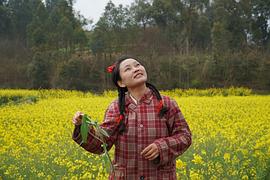 杨玉兰