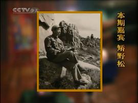 矫野松