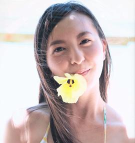 森保圆