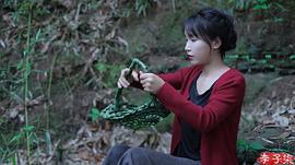 李子柒