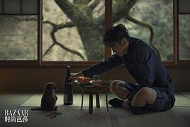 雷佳音