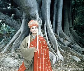 迟重瑞