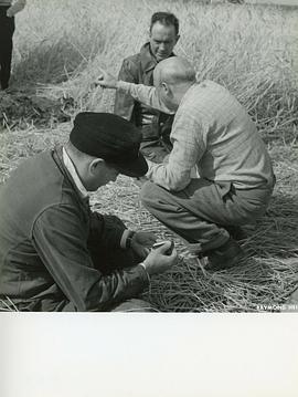 让-保罗·勒沙努瓦