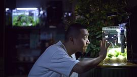 范翔宇