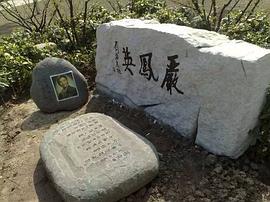 严凤英