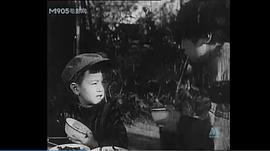 郑应兆