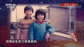 刘涛