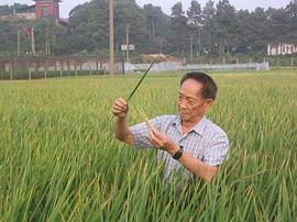 袁隆平