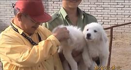 丸山正雄