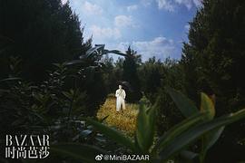 林雨申