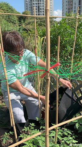 谢君豪