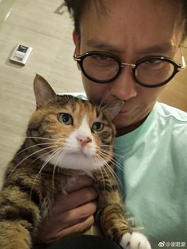 谢君豪