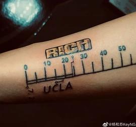 杨和苏