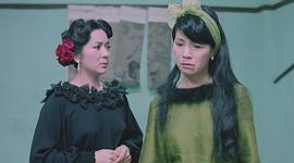 冯宝宝
