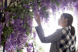 黄智雯