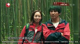 大张伟