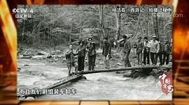 杨洁