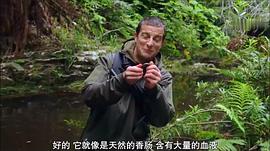 贝尔·格里尔斯
