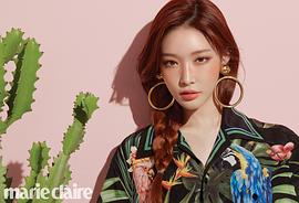 金请夏