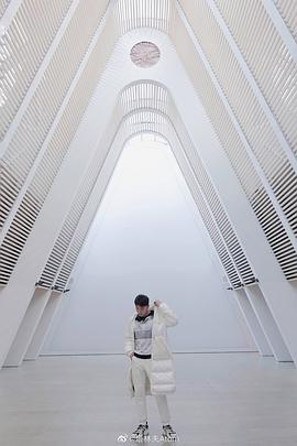 塔林夫