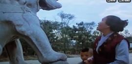 赵丽蓉