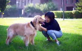 李雪琴