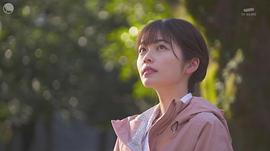 小芝风花