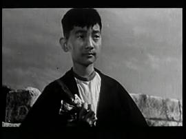 应大白